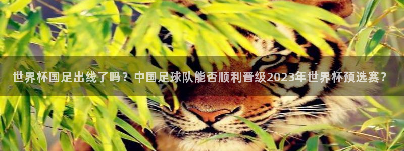 世界杯亚洲区预选赛赛程表:世界杯国足出线了吗?中国足球队能否顺利晋级2023年世界杯预选赛?