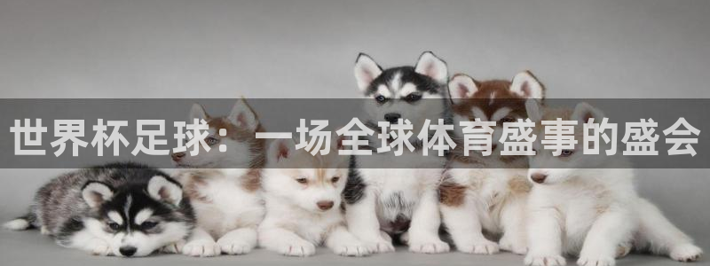 2026世界杯赛程时间表最新:世界杯足球:一场全球体育盛事的盛会