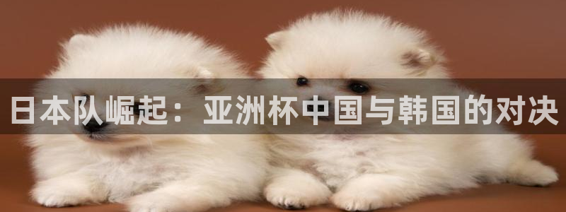 2026世界杯赛程:日本队崛起:亚洲杯中国与韩国的对决